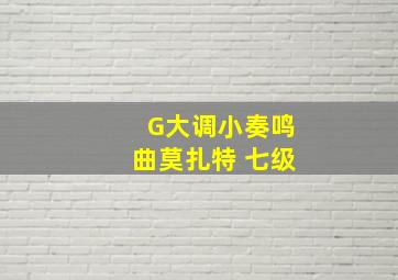 G大调小奏鸣曲莫扎特 七级